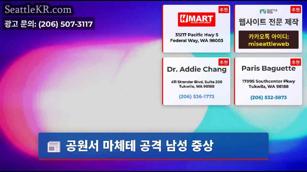 공원서 마체테 공격 남성 중상