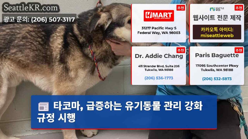 타코마, 급증하는 유기동물 관리 강화 규정 시행