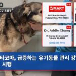 타코마 급증하는 유기동물 관리 강화 규정 시행