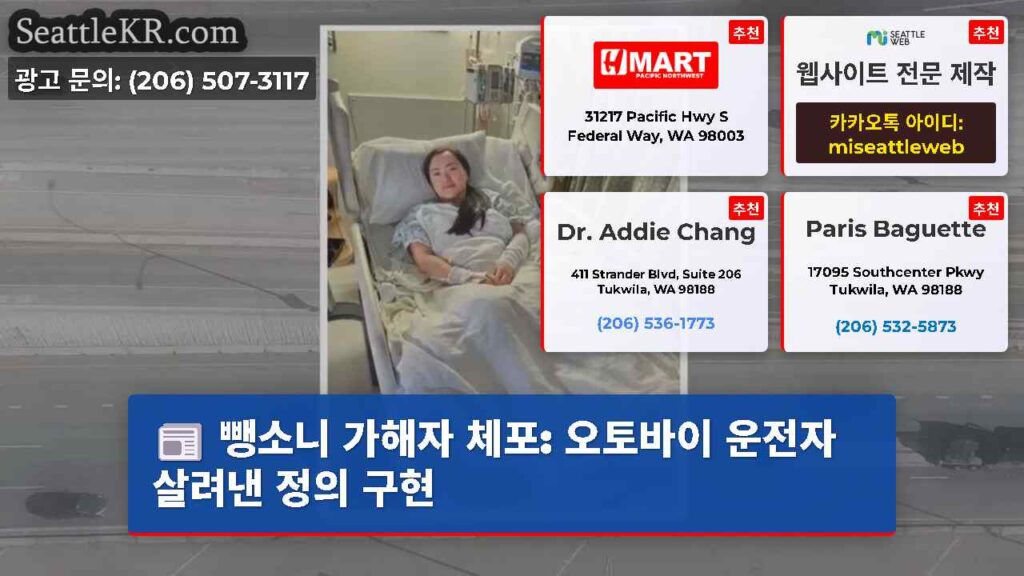 뺑소니 가해자 체포: 오토바이 운전자 살려낸 정의 구현