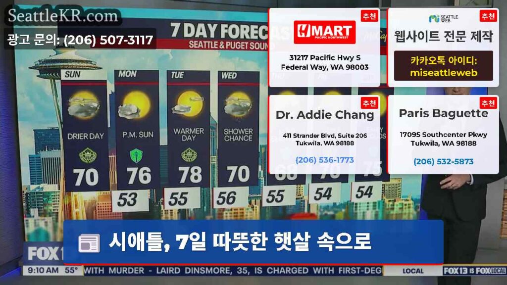 시애틀, 7일 따뜻한 햇살 속으로