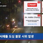 시애틀 도심 불꽃 시위 발생
