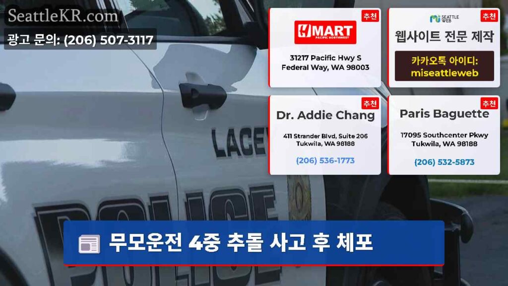 무모운전 4중 추돌 사고 후 체포