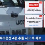 무모운전 4중 추돌 사고 후 체포