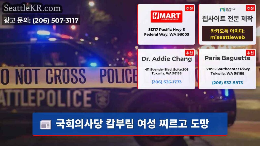 국회의사당 칼부림 여성 찌르고 도망