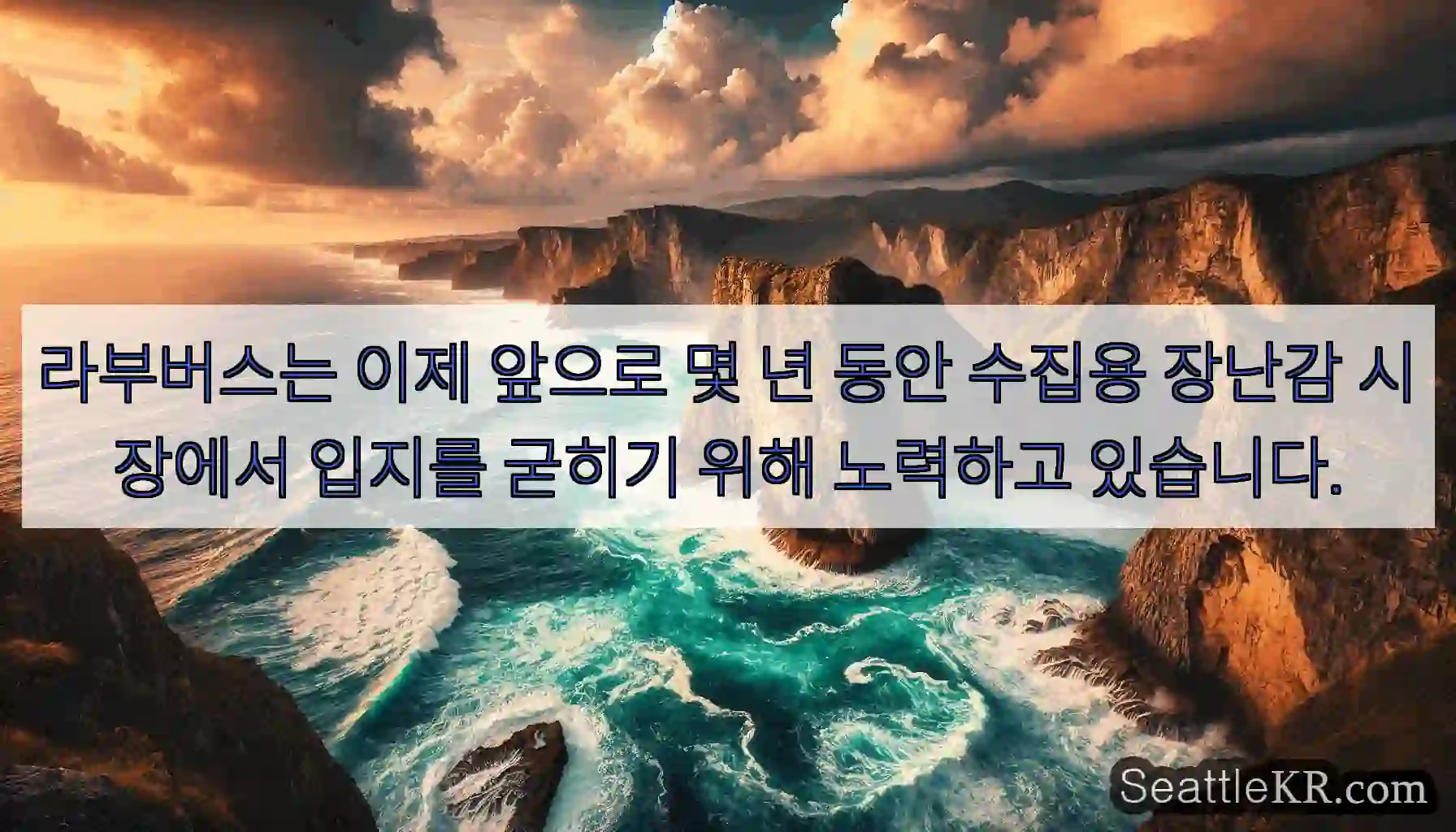 라부버스는 이제 앞으로 몇 년 동안 수집용 장난감 시장에서 입지를 굳히기 위해 노력하고