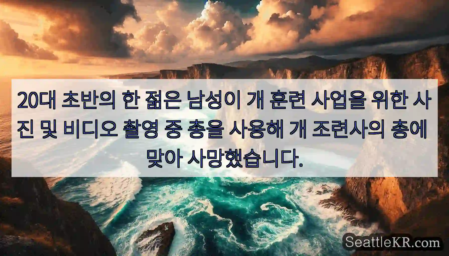 20대 초반의 한 젊은 남성이 개 훈련 사업을 위한 사진 및 비디오 촬영 중 총을 사용해