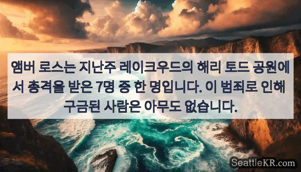 앰버 로스는 지난주 레이크우드의 해리 토드 공원에서 총격을 받은 7명 중 한 명입니다.
