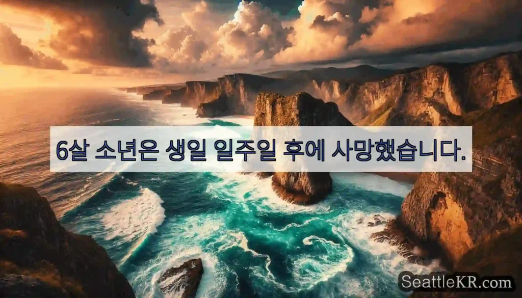 6살 소년은 생일 일주일 후에 사망했습니다.