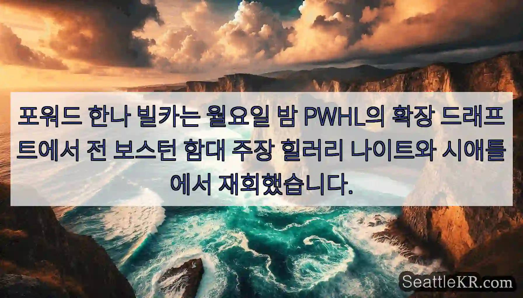 포워드 한나 빌카는 월요일 밤 PWHL의 확장 드래프트에서 전 보스턴 함대 주장 힐러리