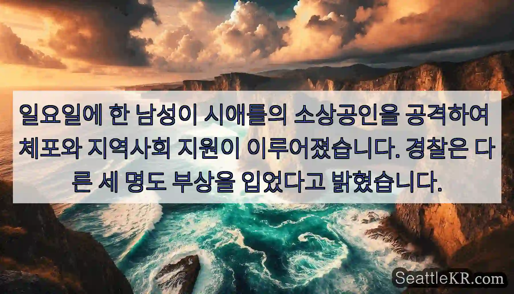 일요일에 한 남성이 시애틀의 소상공인을 공격하여 체포와 지역사회 지원이 이루어졌습니다.