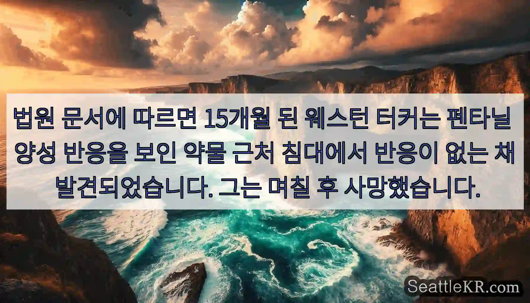 법원 문서에 따르면 15개월 된 웨스턴 터커는 펜타닐 양성 반응을 보인 약물 근처