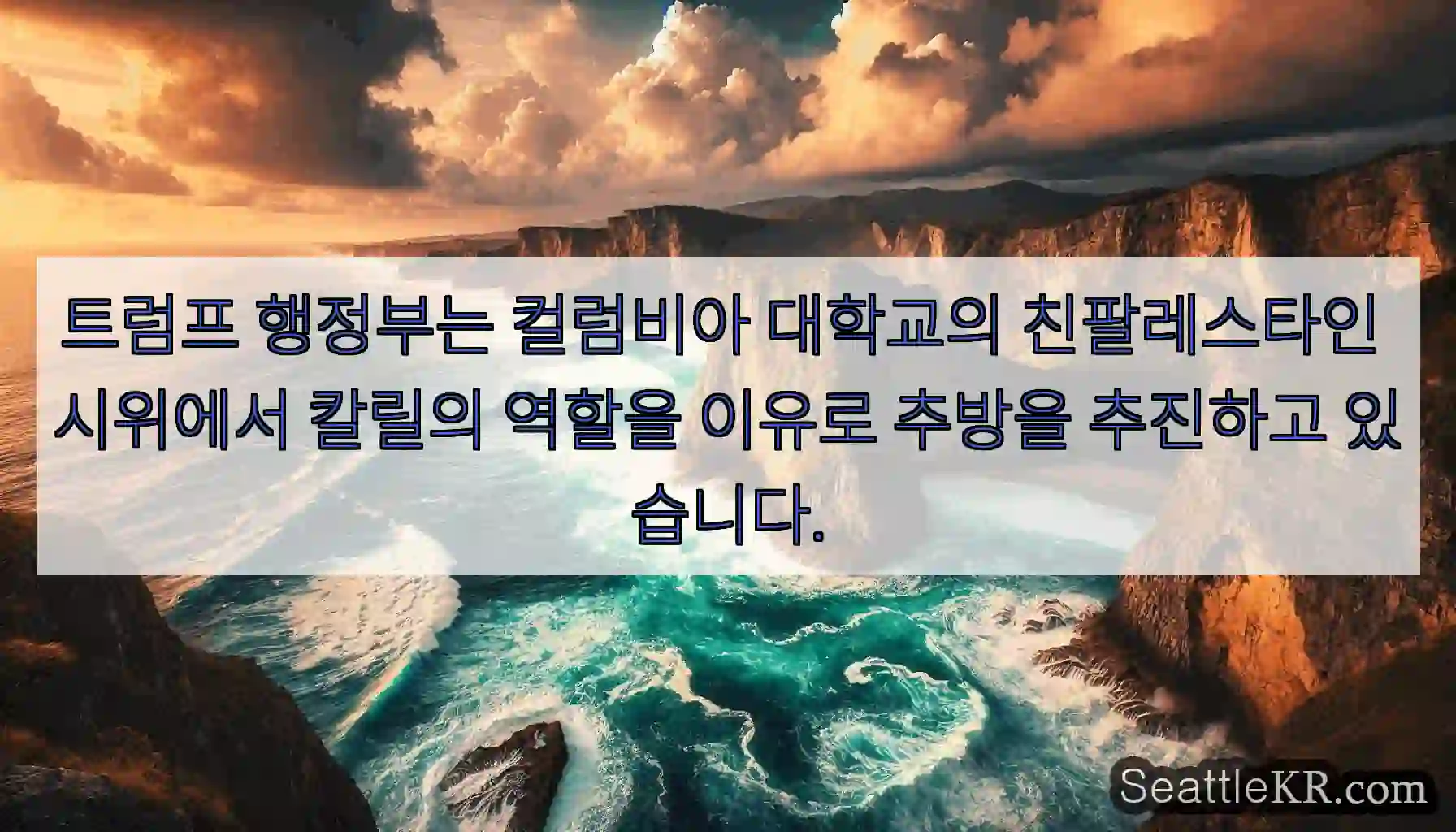 트럼프 행정부는 컬럼비아 대학교의 친팔레스타인 시위에서 칼릴의 역할을 이유로 추방을