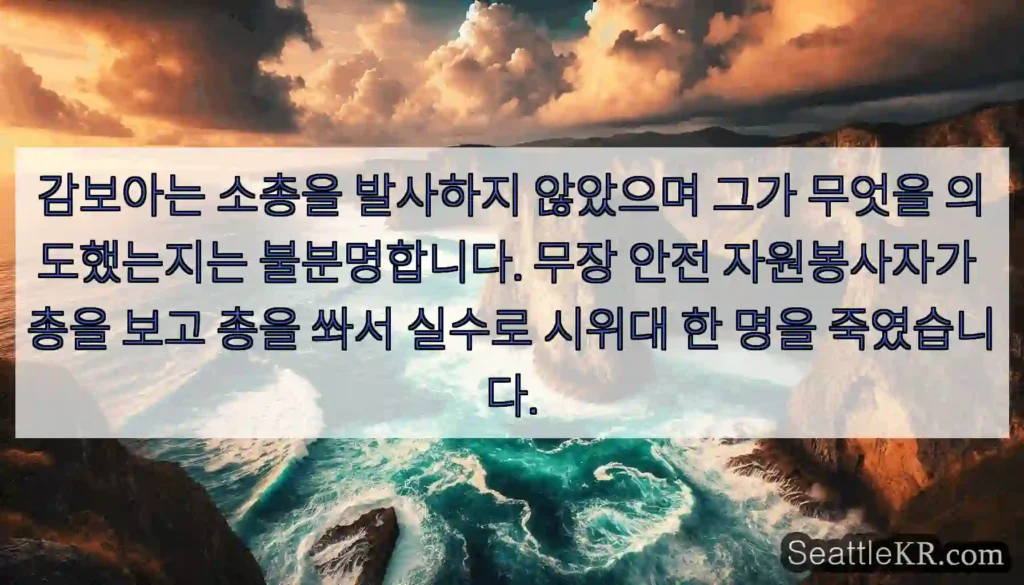감보아는 소총을 발사하지 않았으며 그가 무엇을 의도했는지는 불분명합니다. 무장 안전