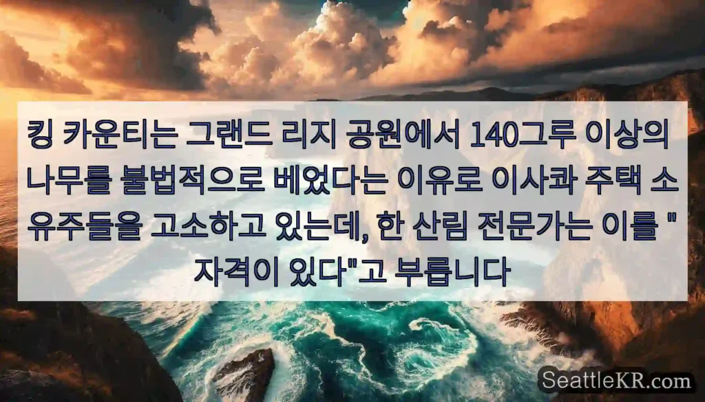킹 카운티는 그랜드 리지 공원에서 140그루 이상의 나무를 불법적으로 베었다는 이유로