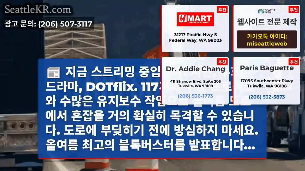 지금 스트리밍 중입니다: 지연, 우회, 드라마, DOTflix. 117개의 주요