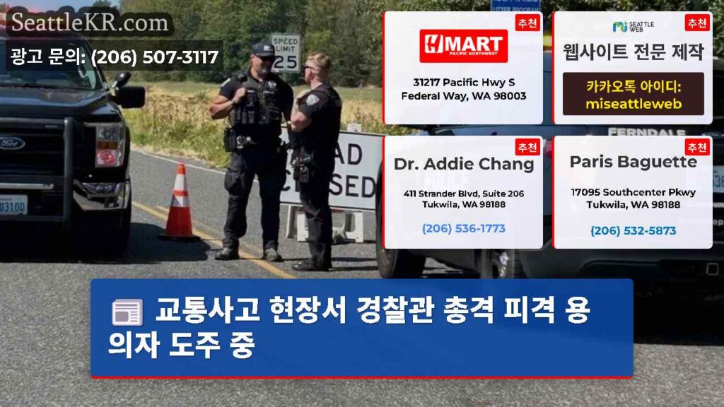 교통사고 현장서 경찰관 총격 피격 용의자 도주 중
