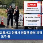 교통사고 현장서 경찰관 총격 피격 용의자 도주 중