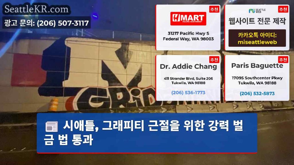 시애틀, 그래피티 근절을 위한 강력 벌금 법 통과