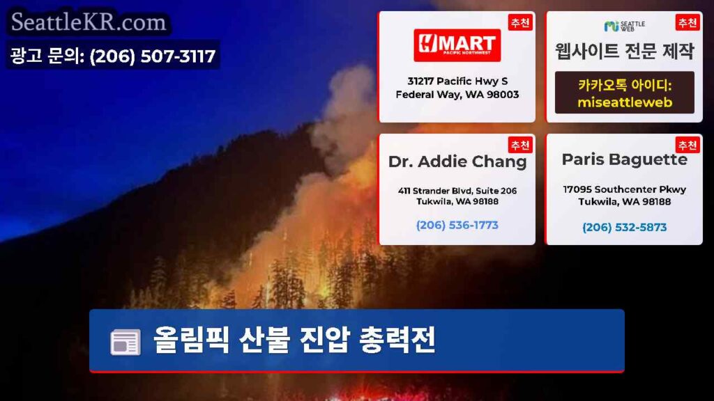 올림픽 산불 진압 총력전