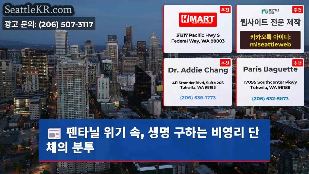 펜타닐 위기 속, 생명 구하는 비영리 단체의 분투