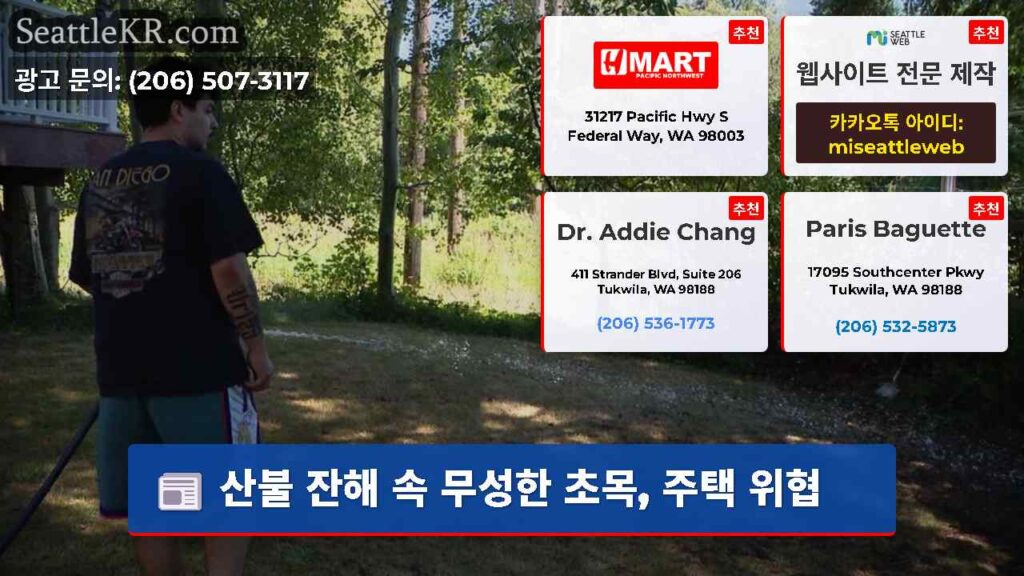 산불 잔해 속 무성한 초목, 주택 위협