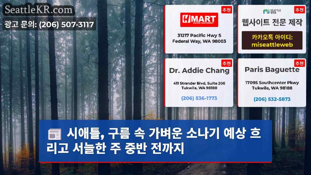 시애틀, 구름 속 가벼운 소나기 예상 흐리고 서늘한 주 중반 전까지