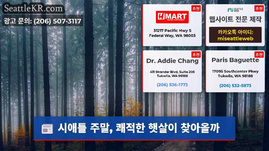 시애틀 주말, 쾌적한 햇살이 찾아올까