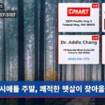 시애틀 주말 쾌적한 햇살이 찾아올까