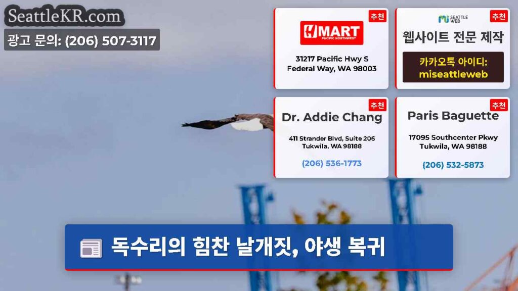 독수리의 힘찬 날개짓, 야생 복귀