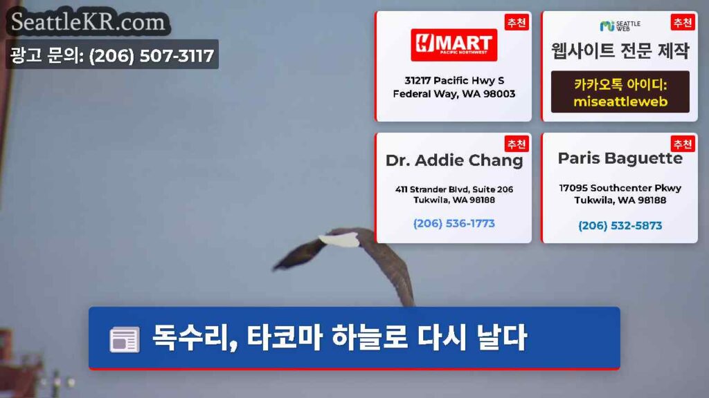 독수리, 타코마 하늘로 다시 날다