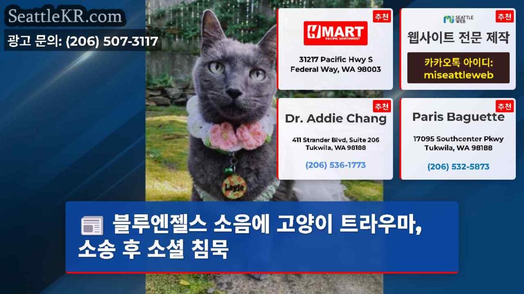 블루엔젤스 소음에 고양이 트라우마, 소송 후 소셜 침묵