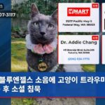 블루엔젤스 소음에 고양이 트라우마 소송 후 소셜 침묵