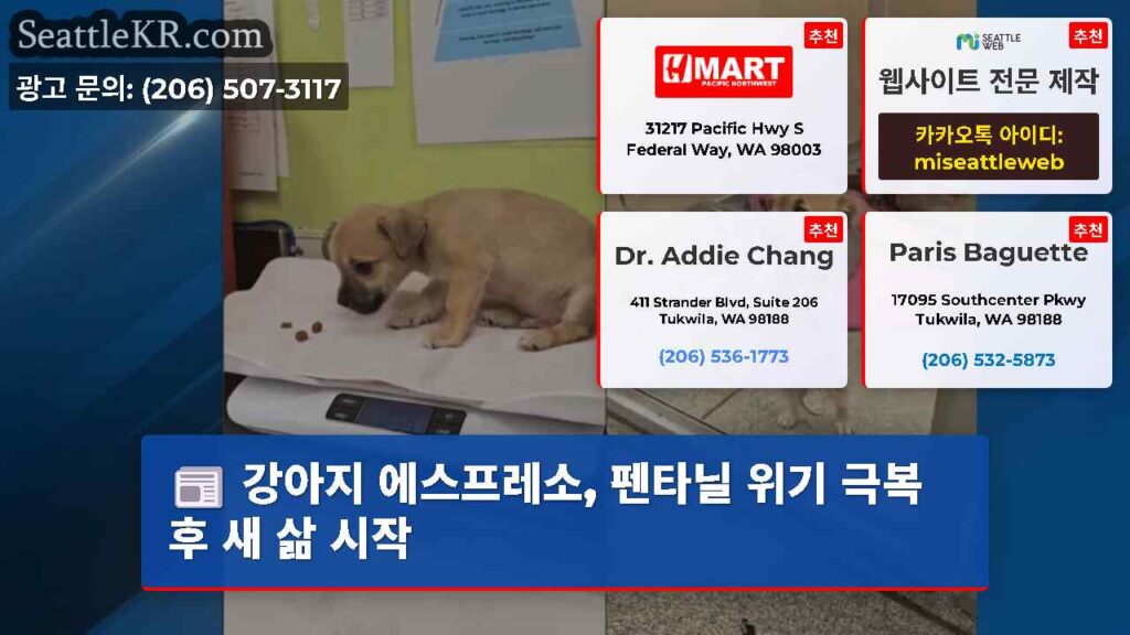 강아지 에스프레소, 펜타닐 위기 극복 후 새 삶 시작