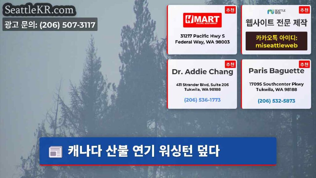 캐나다 산불 연기 워싱턴 덮다