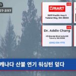 캐나다 산불 연기 워싱턴 덮다