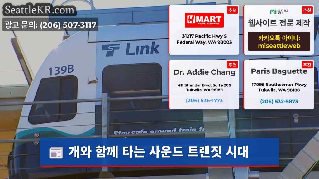 개와 함께 타는 사운드 트랜짓 시대