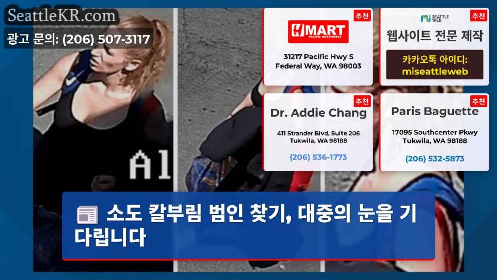 소도 칼부림 범인 찾기, 대중의 눈을 기다립니다