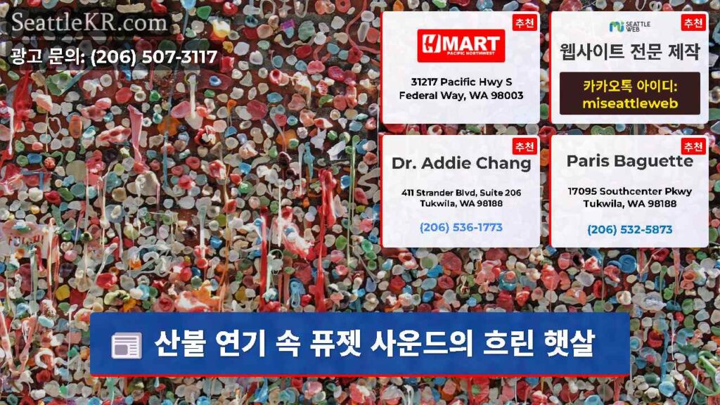 산불 연기 속 퓨젯 사운드의 흐린 햇살