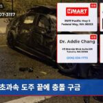 초과속 도주 끝에 충돌 구금