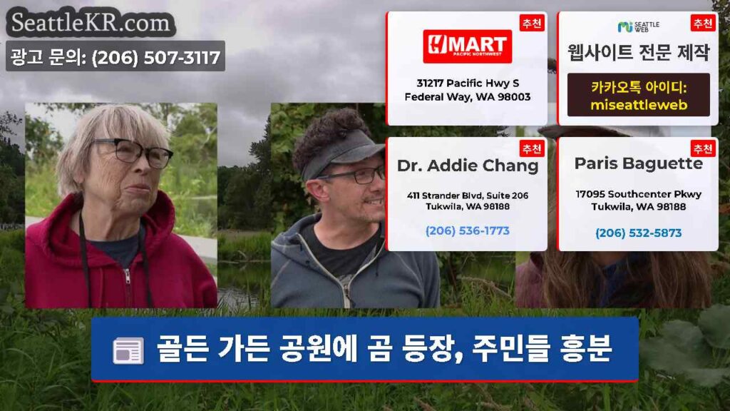 골든 가든 공원에 곰 등장, 주민들 흥분