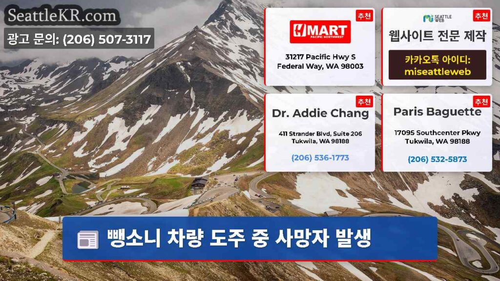 뺑소니 차량 도주 중 사망자 발생