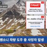 뺑소니 차량 도주 중 사망자 발생
