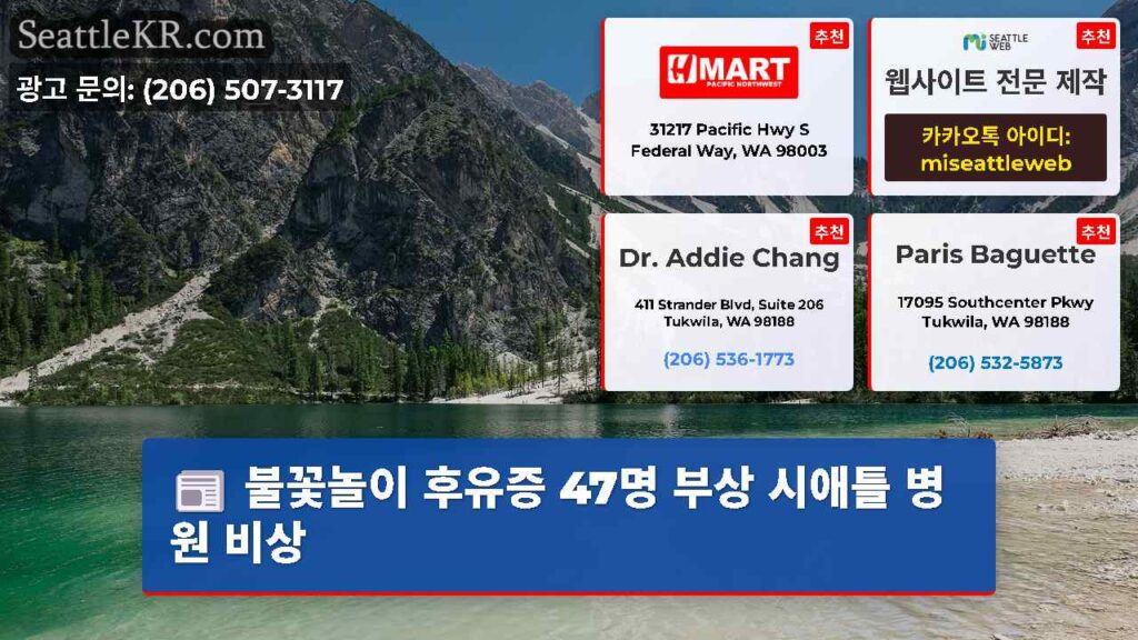 불꽃놀이 후유증 47명 부상 시애틀 병원 비상