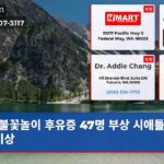 불꽃놀이 후유증 47명 부상 시애틀 병원 비상