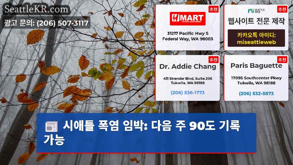 시애틀 폭염 임박: 다음 주 90도 기록 가능
