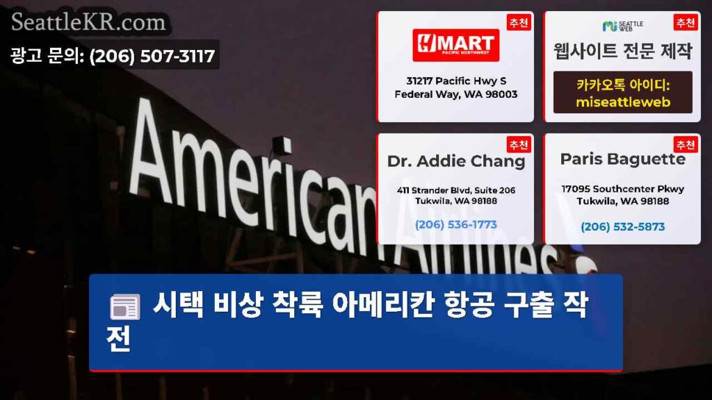시택 비상 착륙 아메리칸 항공 구출 작전