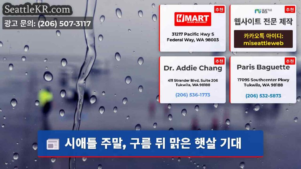 시애틀 주말, 구름 뒤 맑은 햇살 기대