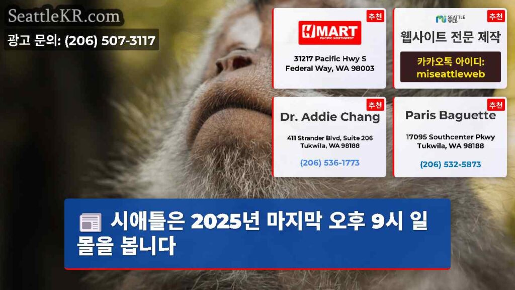 시애틀은 2025년 마지막 오후 9시 일몰을 봅니다