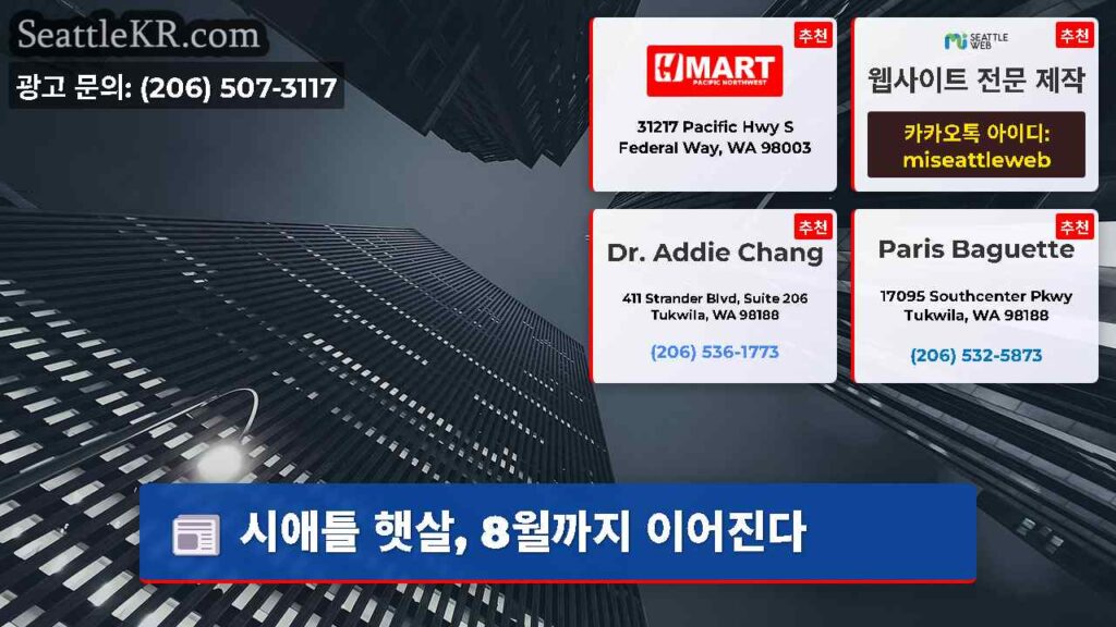 시애틀 햇살, 8월까지 이어진다